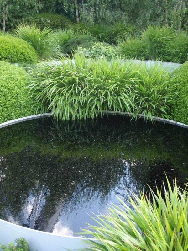 Black pond dye Pond Black creates a stunning reflection on garden ponds