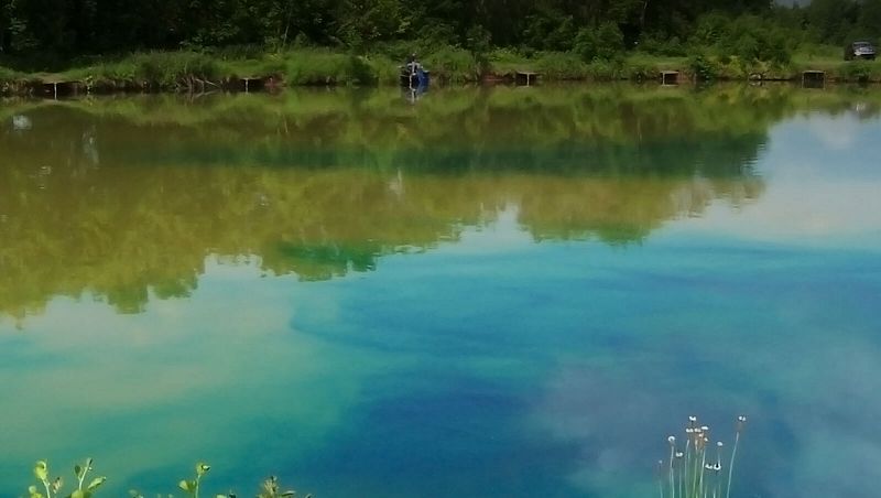 Vision Pond - Blue Pond Dye